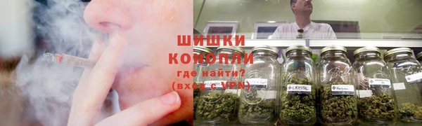 дмт Алексин