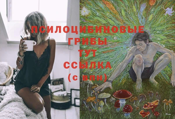 дмт Алексин