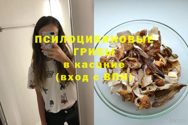дмт Алексин