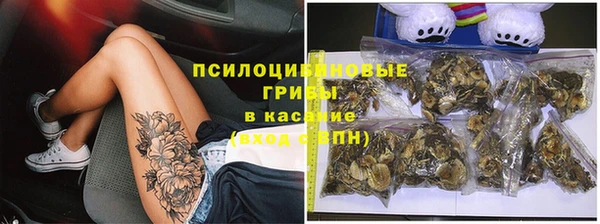 дмт Алексин