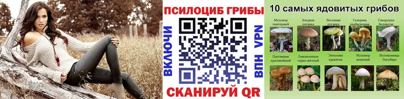 Галлюциногенные грибы прущие грибы  даркнет какой сайт  Елец 